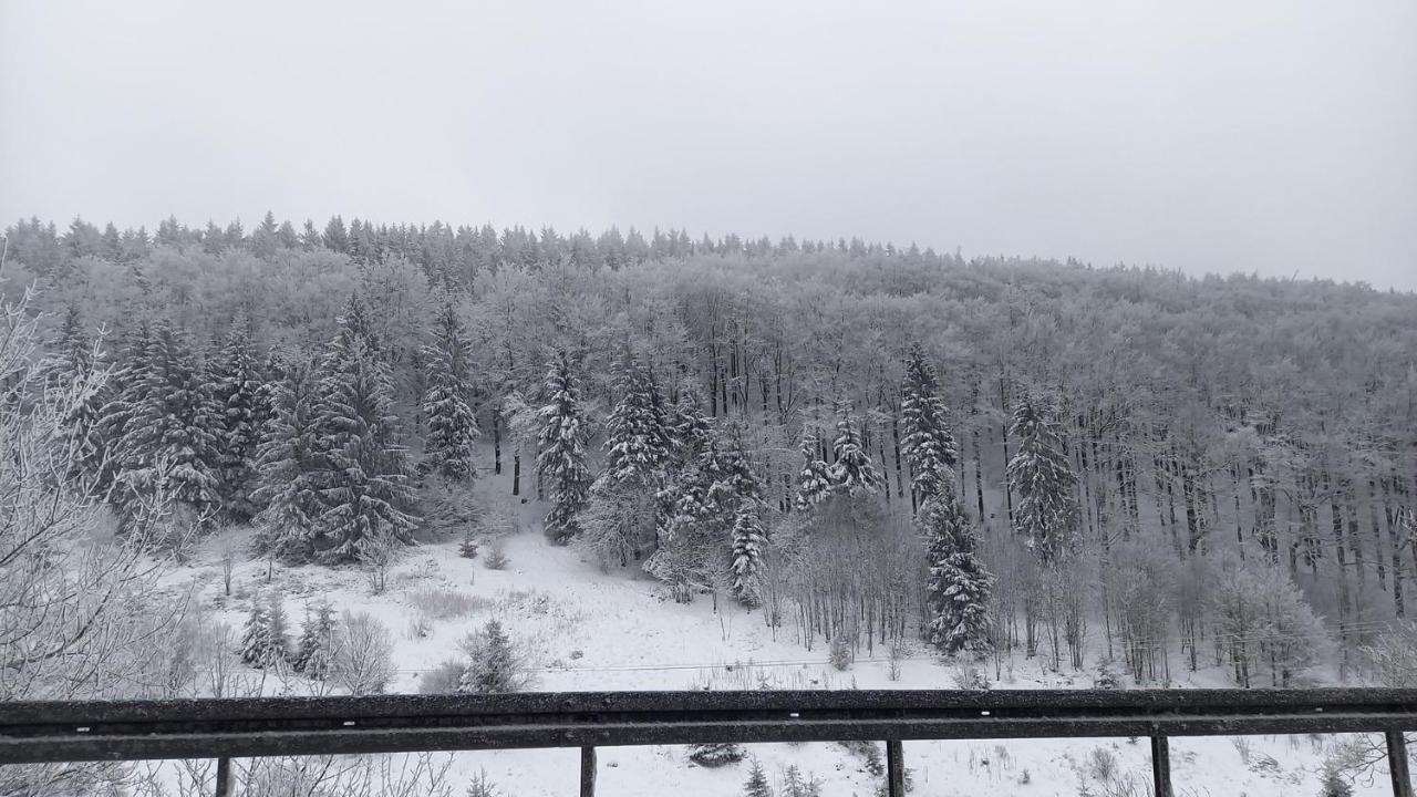 Monteur- Und Ferienwohnung Waldrauschen Fehrenbach Екстер'єр фото