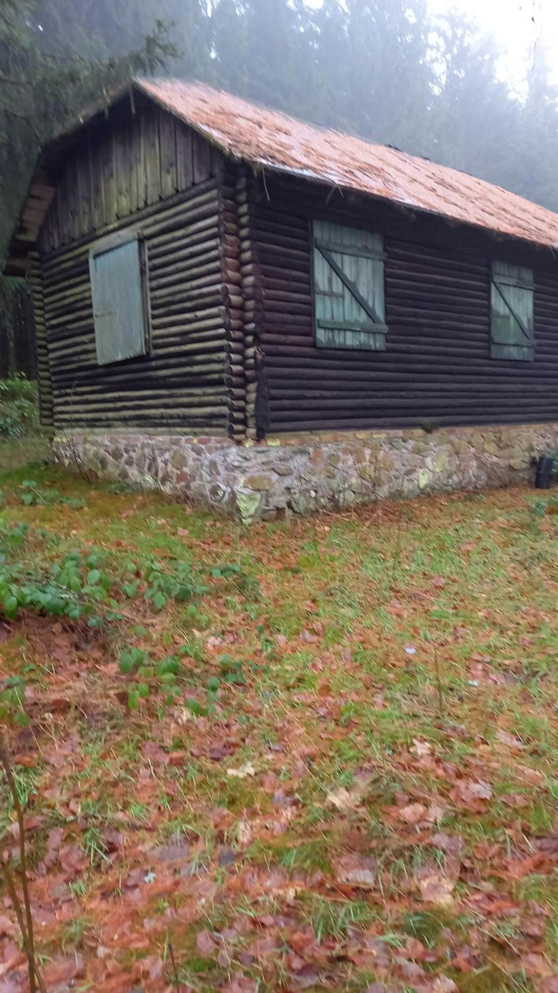 Monteur- Und Ferienwohnung Waldrauschen Fehrenbach Екстер'єр фото