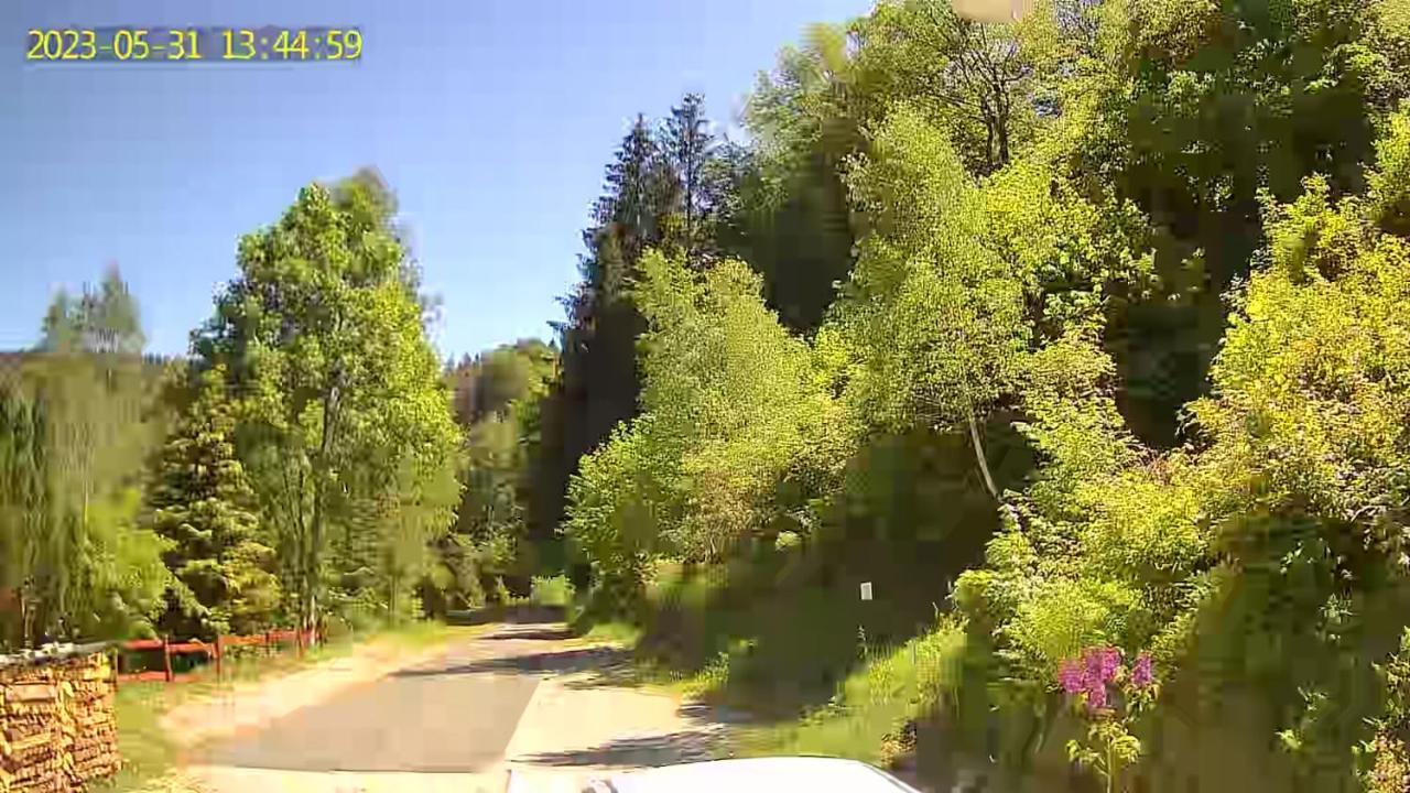 Monteur- Und Ferienwohnung Waldrauschen Fehrenbach Екстер'єр фото