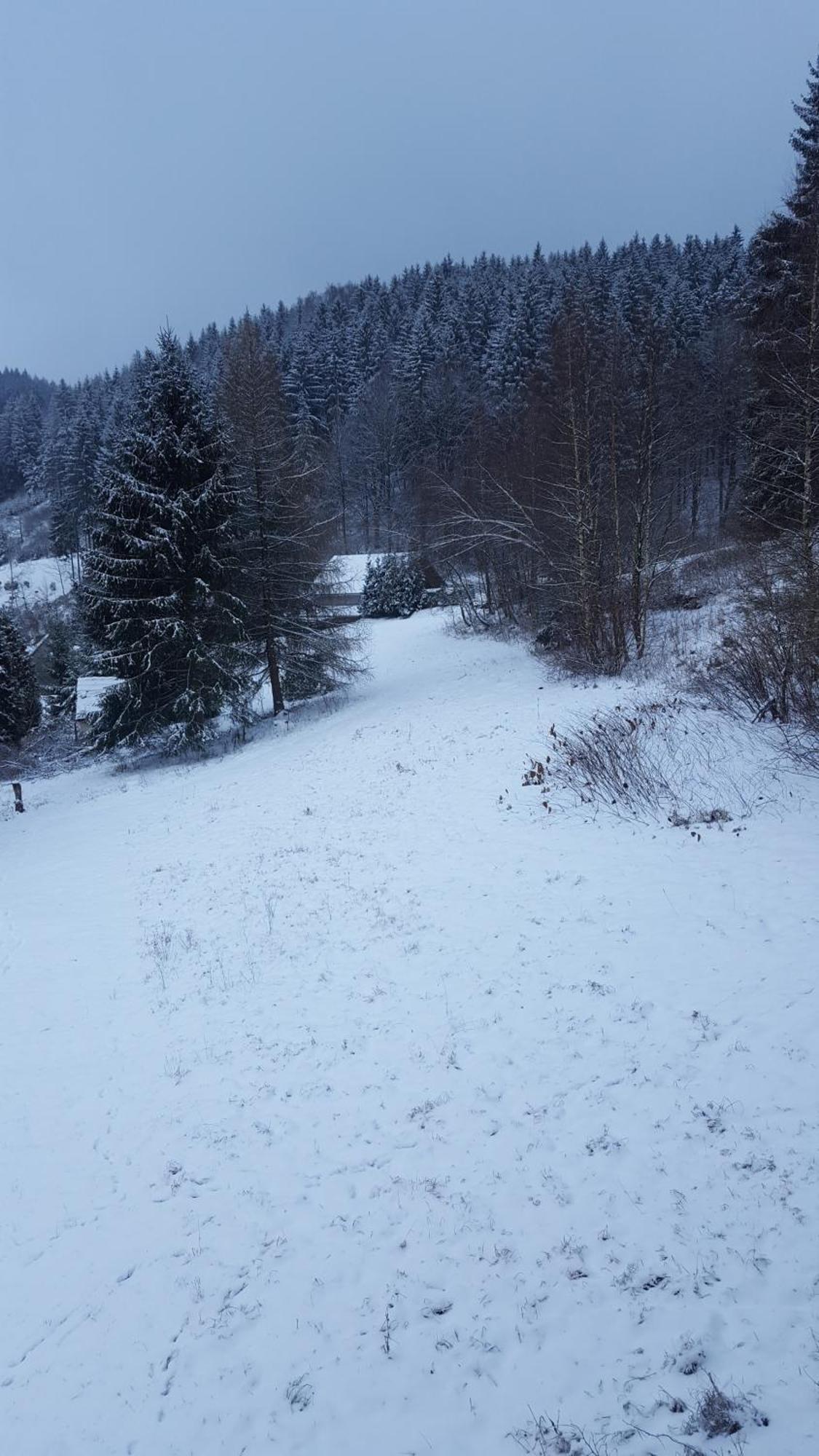 Monteur- Und Ferienwohnung Waldrauschen Fehrenbach Номер фото