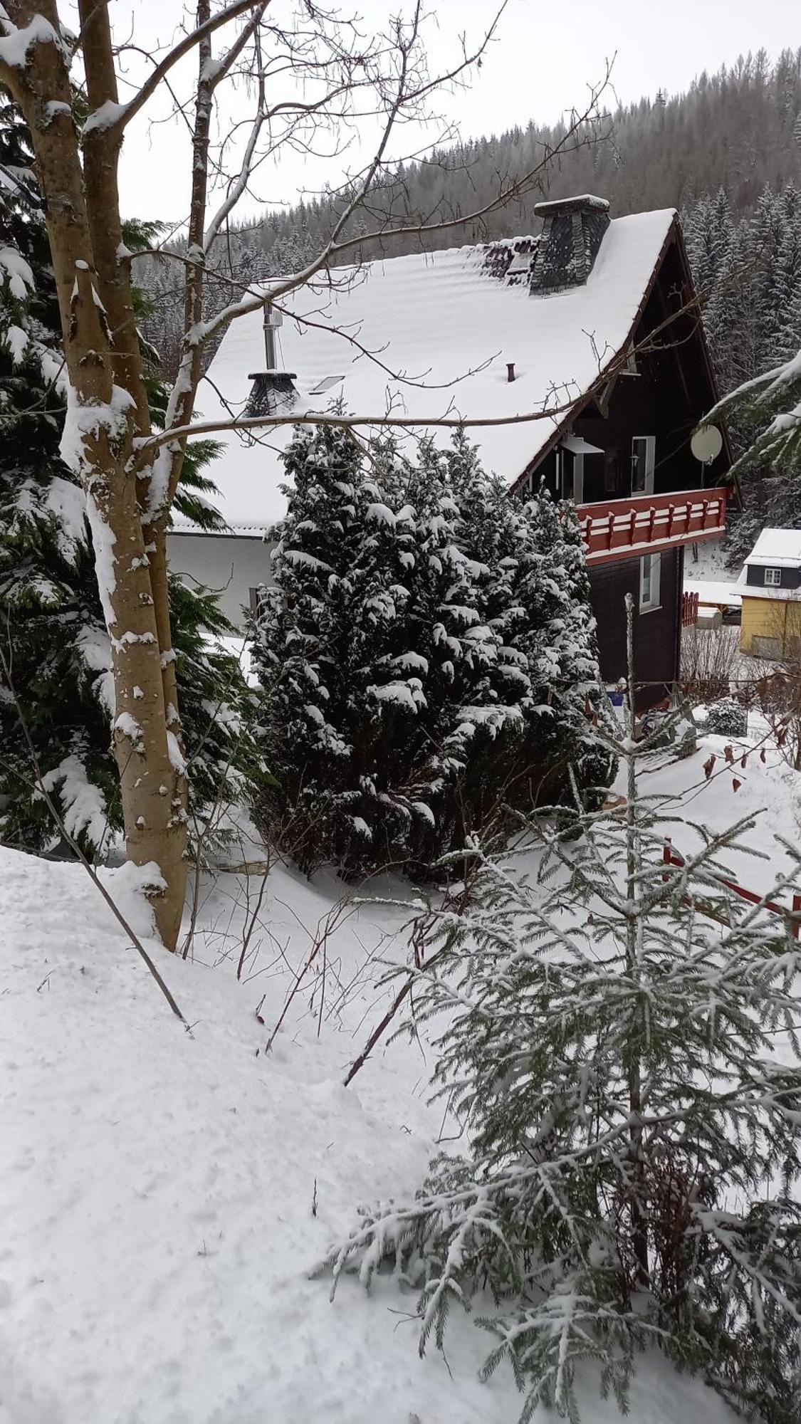 Monteur- Und Ferienwohnung Waldrauschen Fehrenbach Номер фото