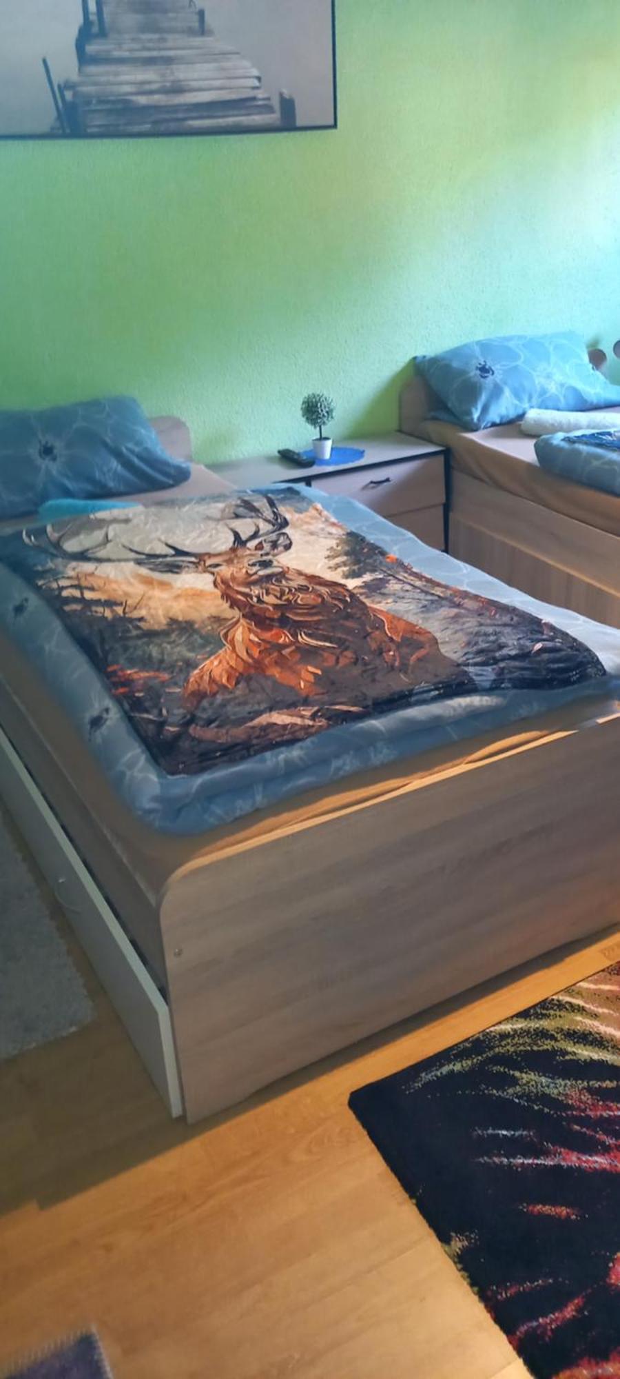 Monteur- Und Ferienwohnung Waldrauschen Fehrenbach Екстер'єр фото
