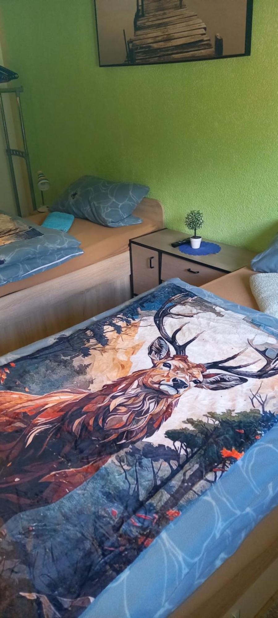 Monteur- Und Ferienwohnung Waldrauschen Fehrenbach Екстер'єр фото