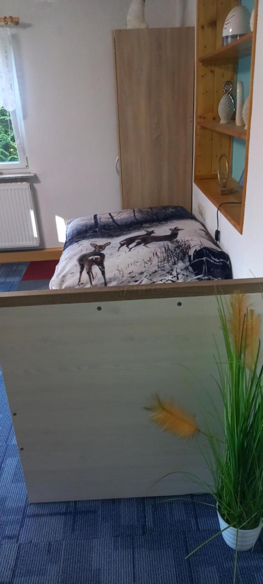Monteur- Und Ferienwohnung Waldrauschen Fehrenbach Екстер'єр фото